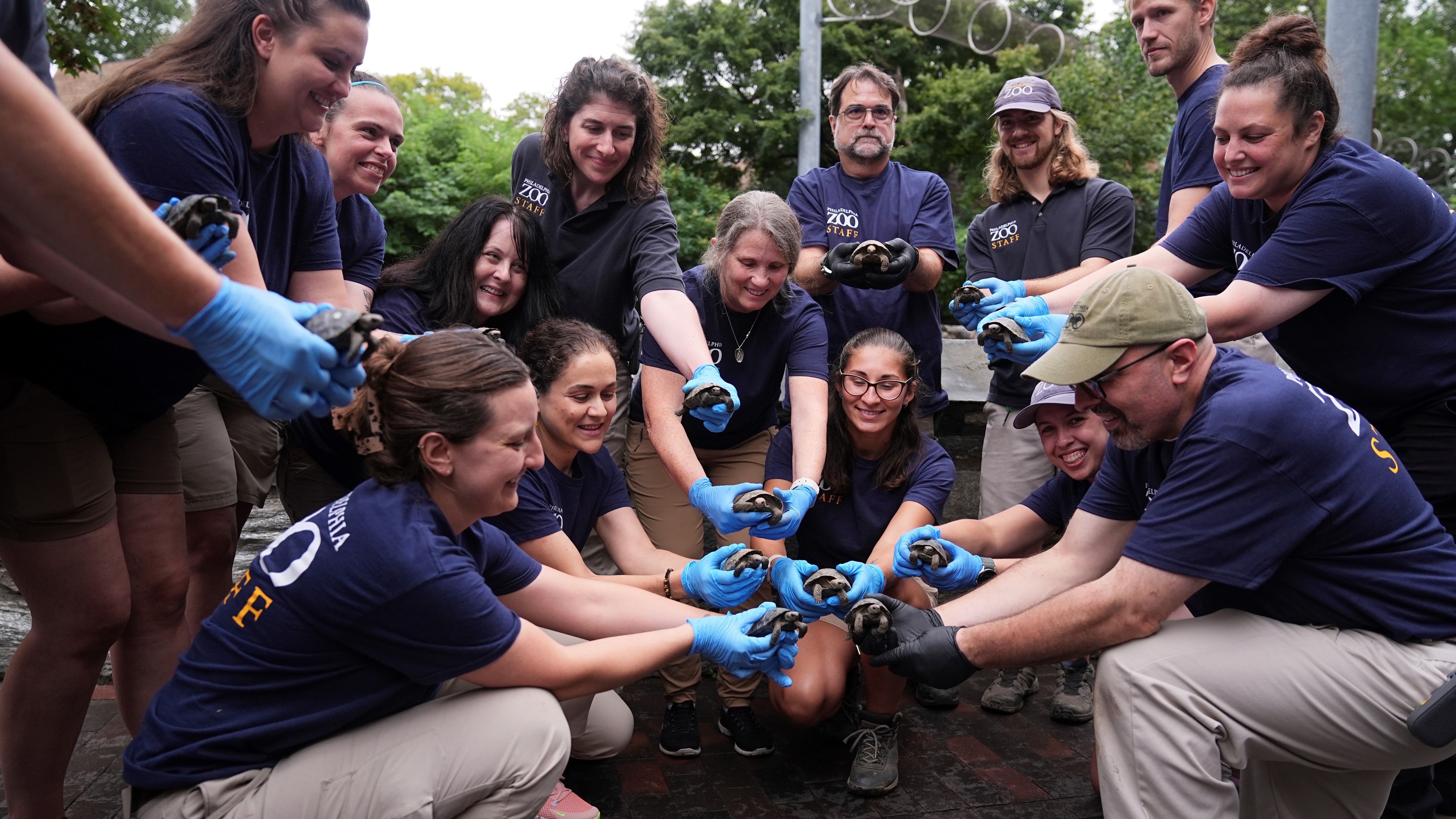 Staff members pose for photographs with 16 critically endangered western Santa Cruz tortoise hatchlings during their debut at the Philadelphia Zoo in Philadelphia