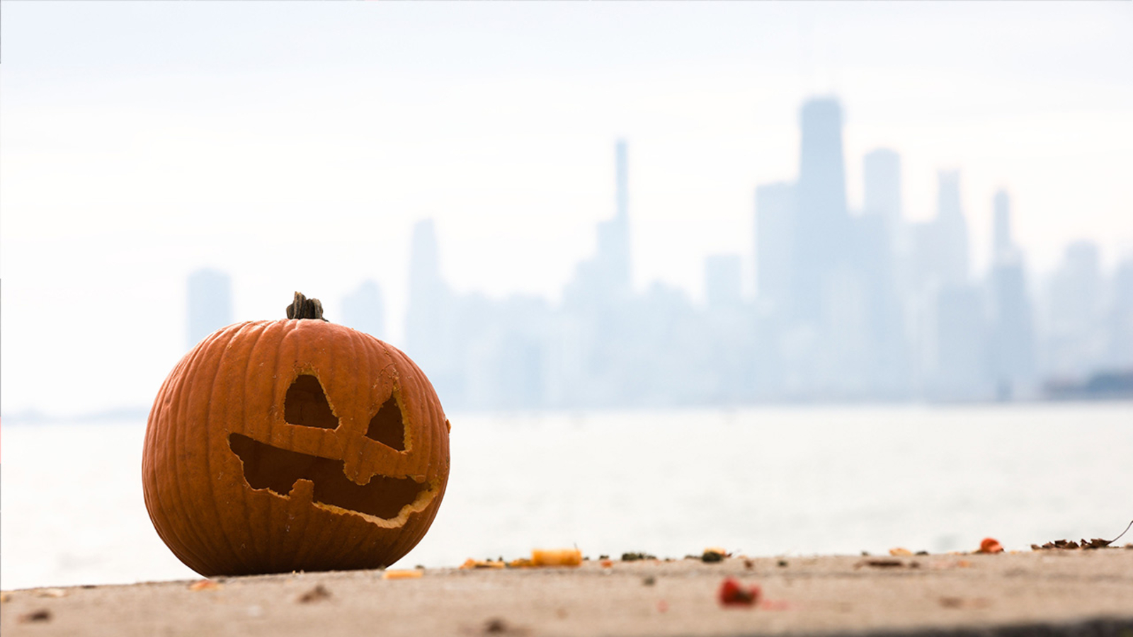 Chicago fall activities pumpkin patches haunted trails