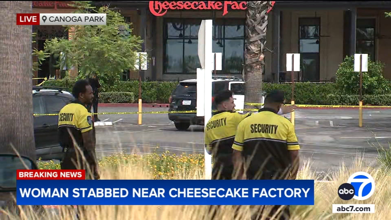 Man with AR-15 style rifle stabs woman with child outside mall: LAPD