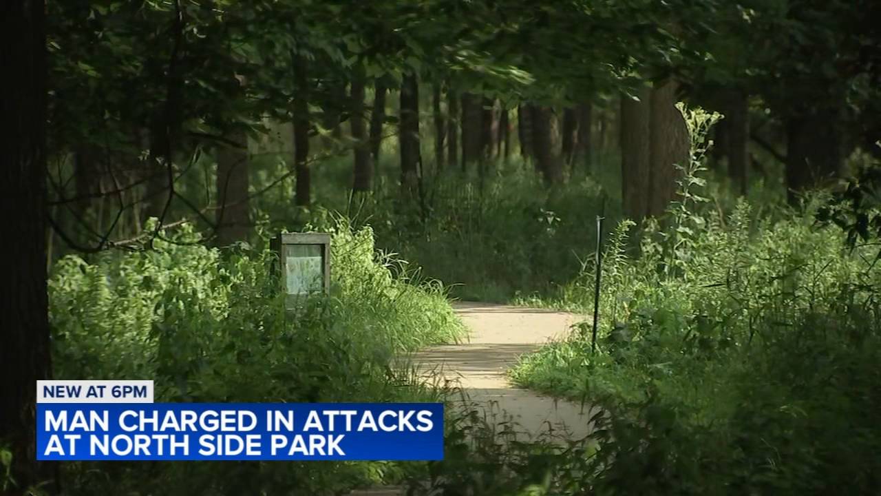 Man charged after 2 women hit inappropriately at North Side park: CPD