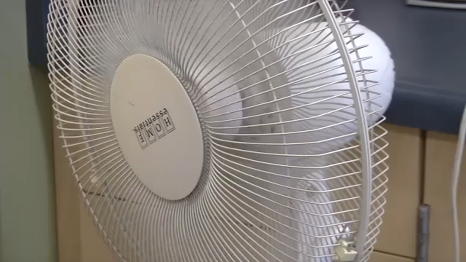 What’s the key to staying cool during a heat wave? A fan may not be the answer, researchers say