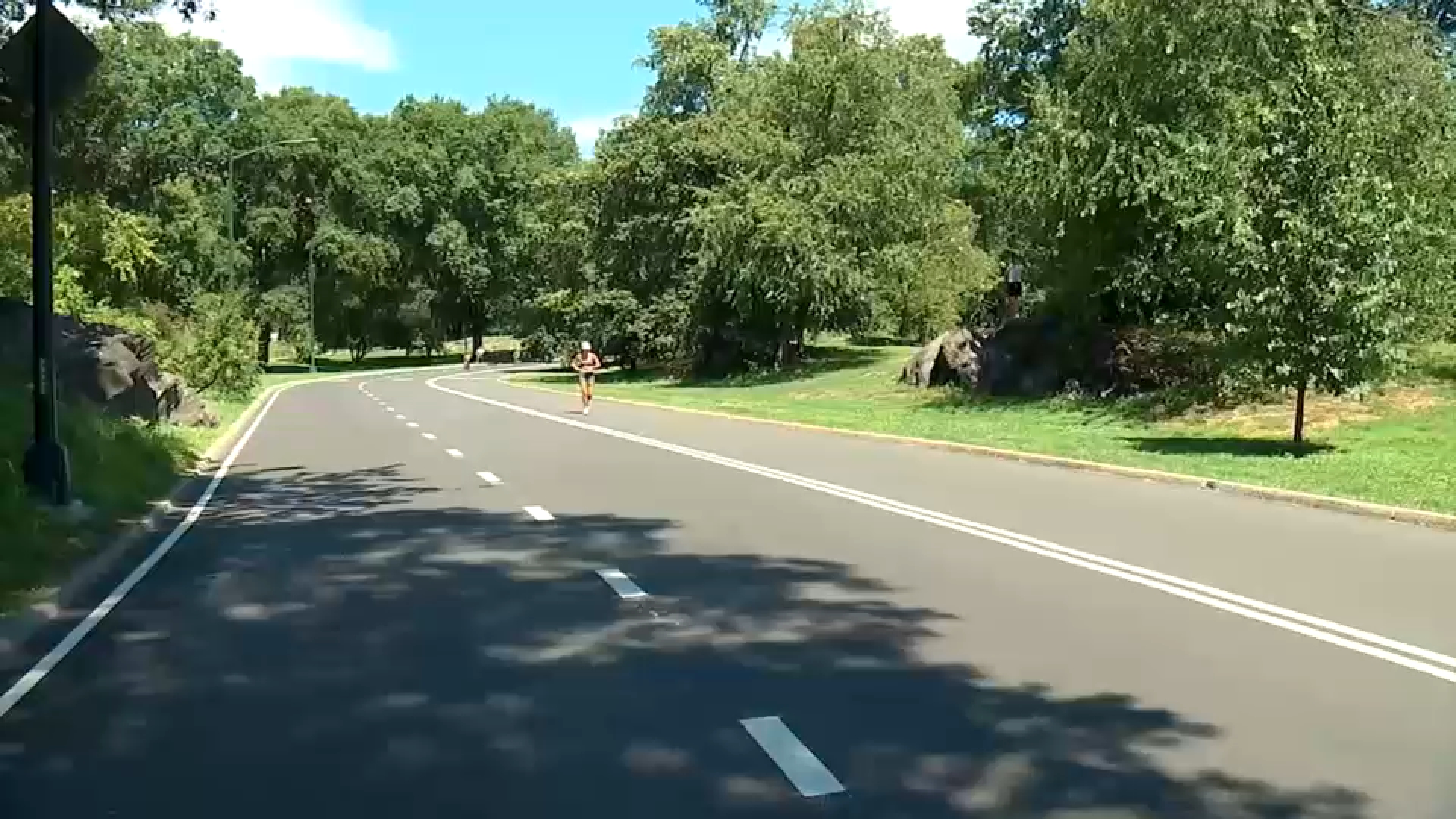 Man arrested, charged in connection to 2 separate assaults in Central Park