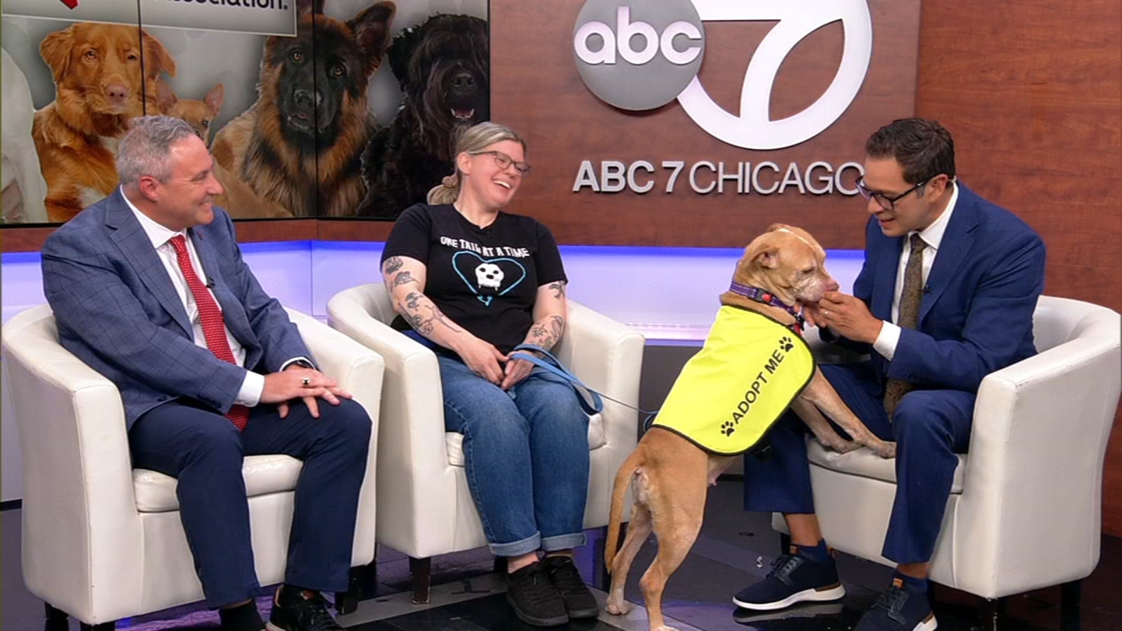 Dogs can have positive effects on health: American Heart Association