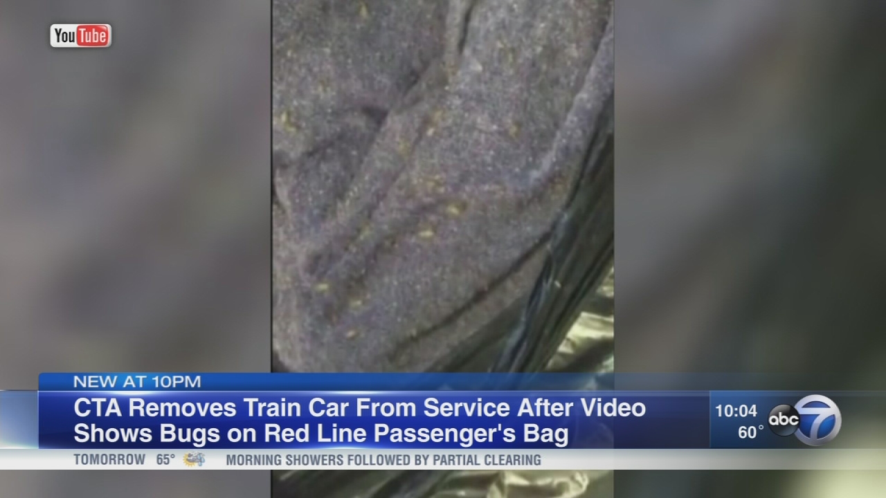 CTA rider says woman carrying bedbug-infested bag got back on train