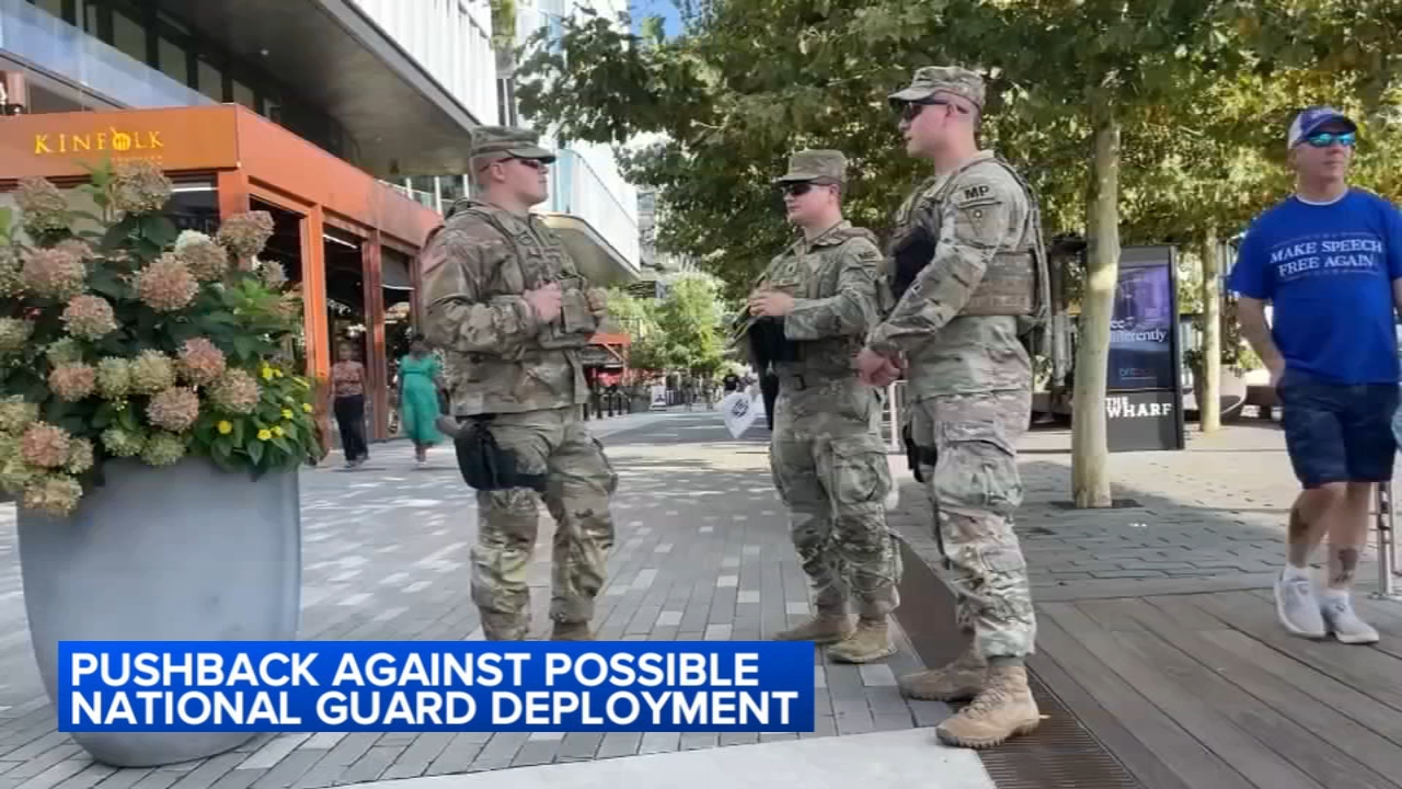 Chicago GOP chairman says National Guard could patrol CTA, Mag Mile