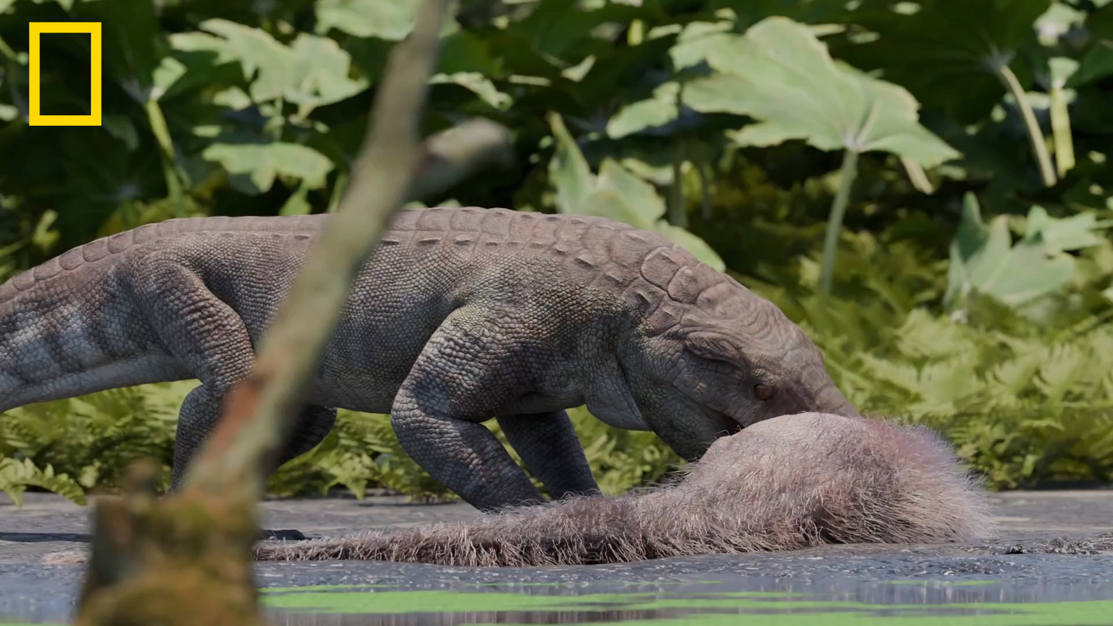 Ancient Land-Hunting Crocodile Fossil Discovered Patagonia