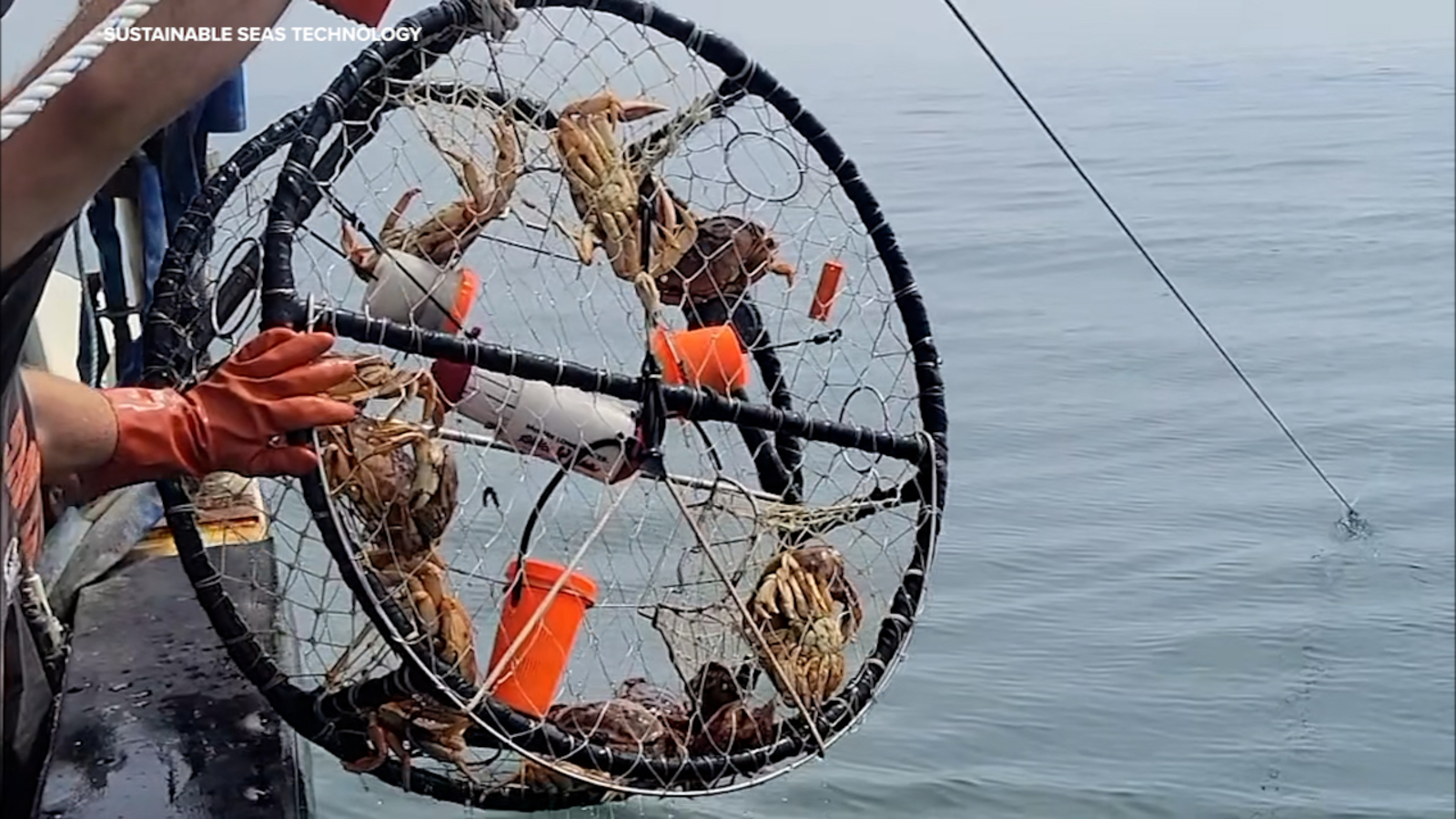 Test results for new pop-up crab traps could boost approval chances for mass use along CA coast