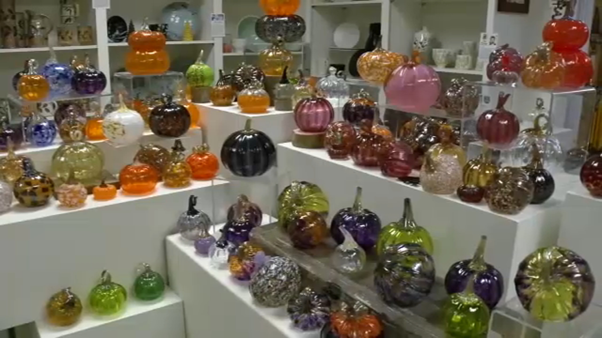 Cedar Creek Gallery | It's pumpkin season with a twist: Creedmoor