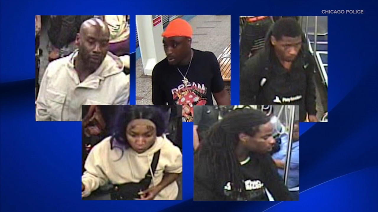 Passenger robbed, beat on CTA Red Line train near Loop station: Police