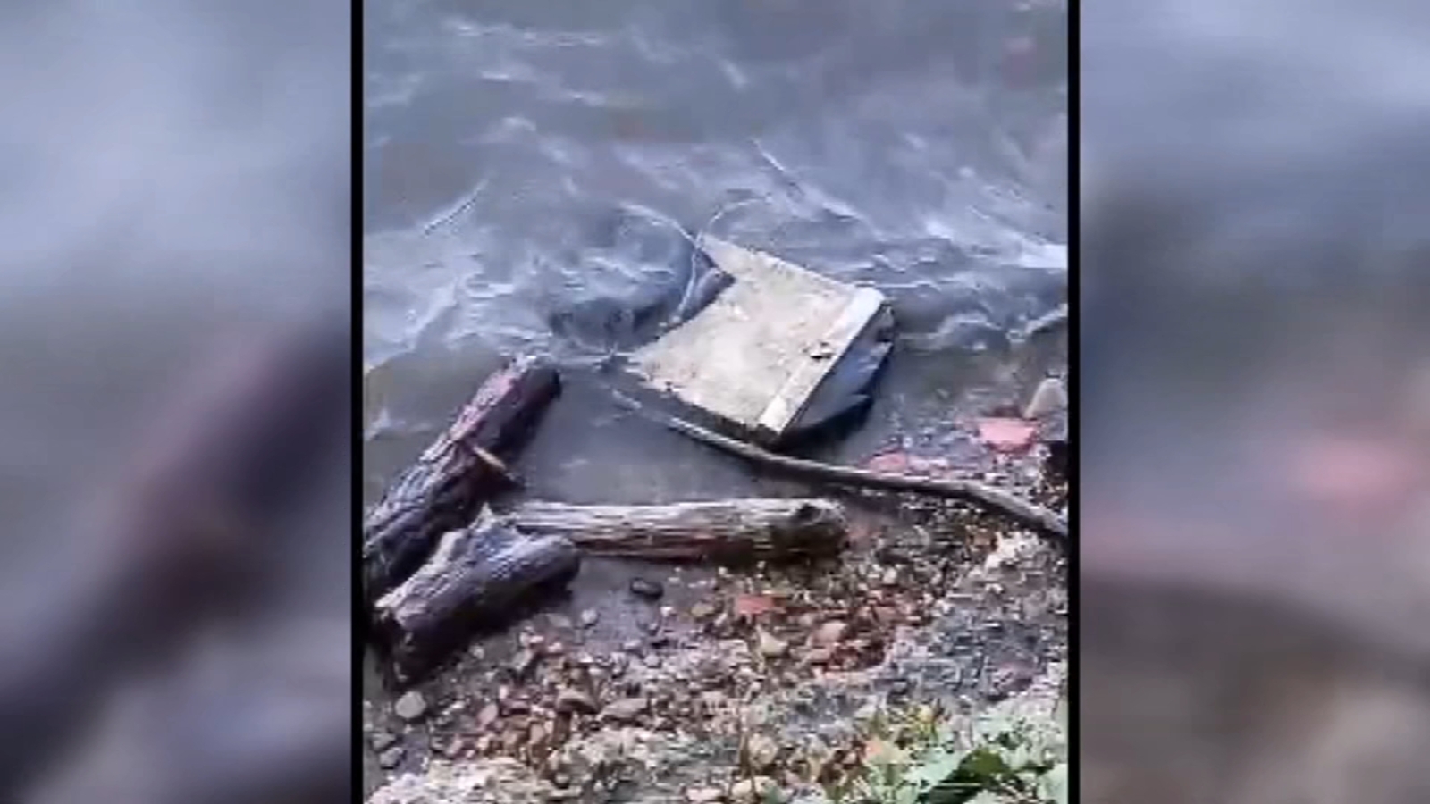 Possible DC plane crash wreckage found by man walking his dog - ABC7 ...