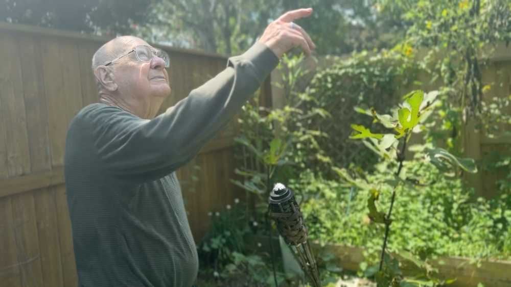 Sugar Land man grows 20-foot-tall sunflower plant