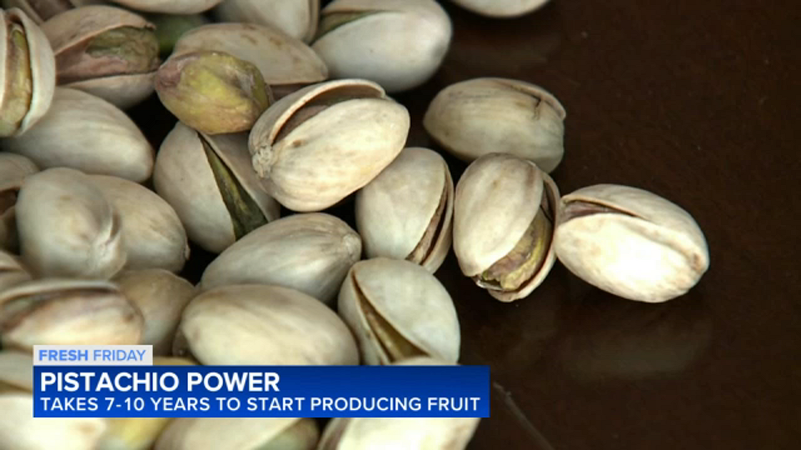 Fresh Friday: Why Pistachios thrive in the Central Valley