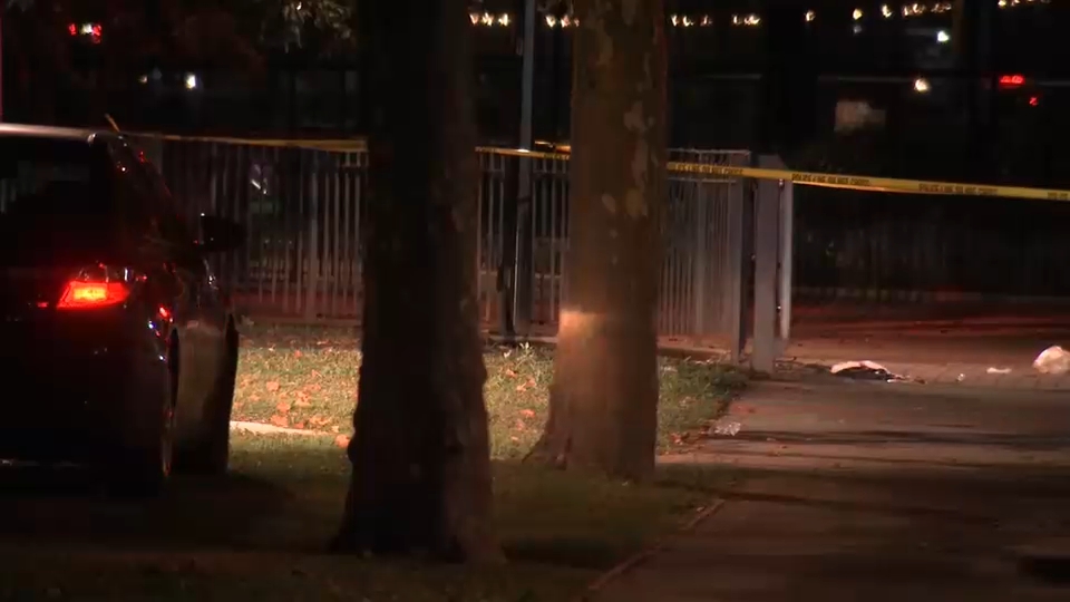 Man fatally shot inside Queens park