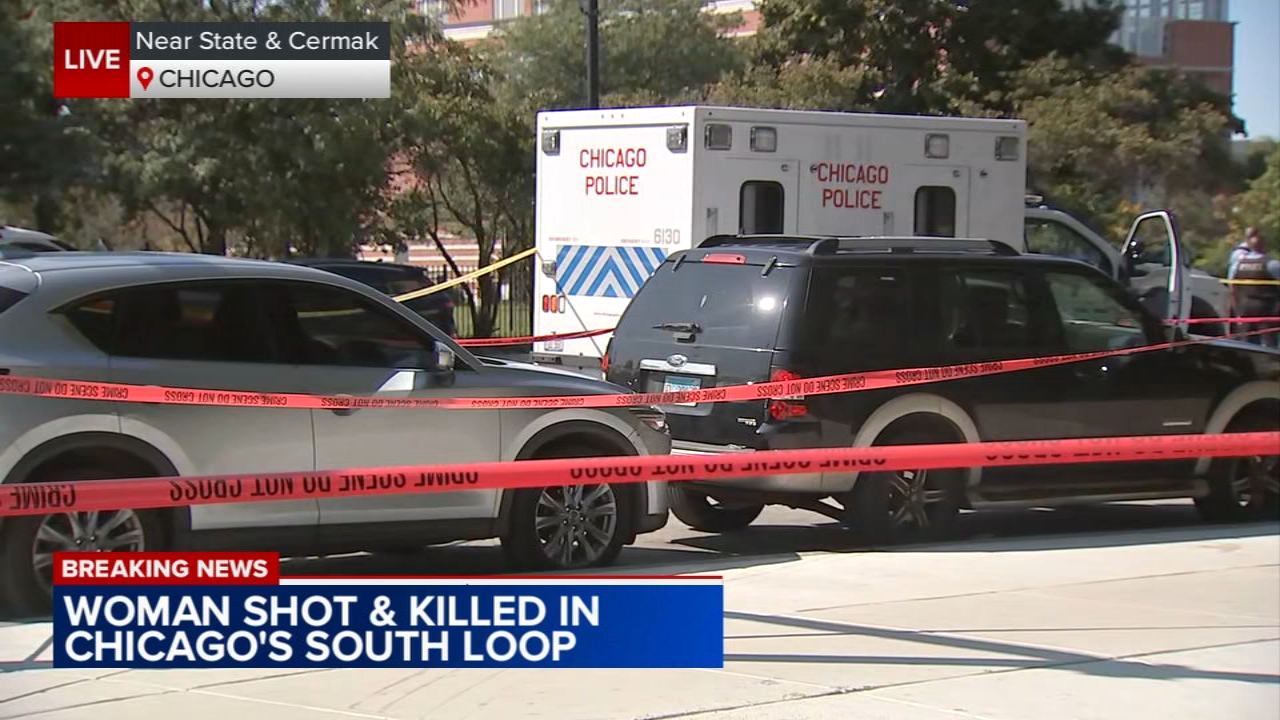 Woman shot in face, killed in South Loop: CPD