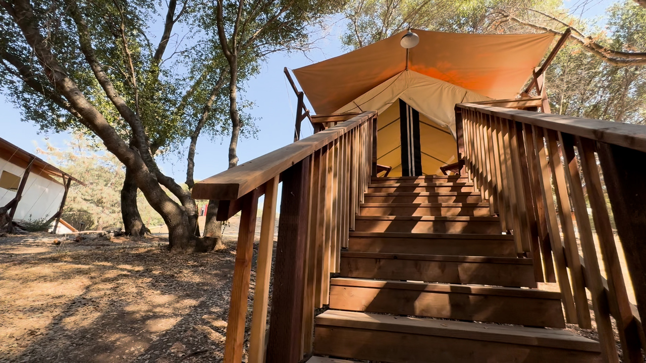 17773539_Fiett001_WILDHAVEN_TH