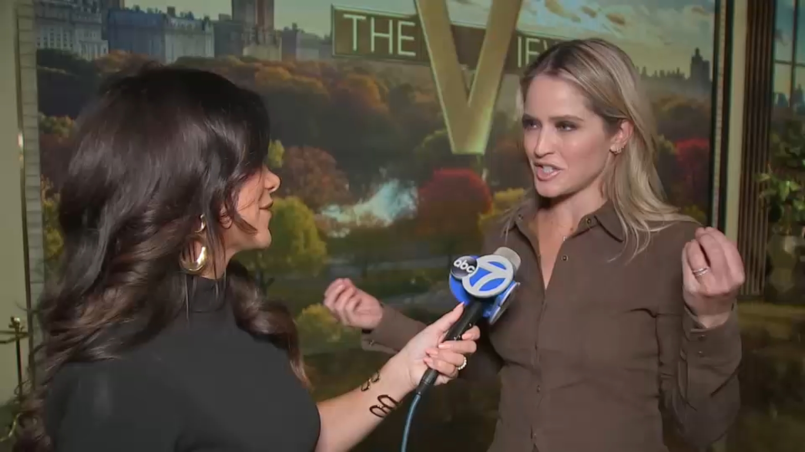 'The View' co-hosts weigh in on the 29th season of the show