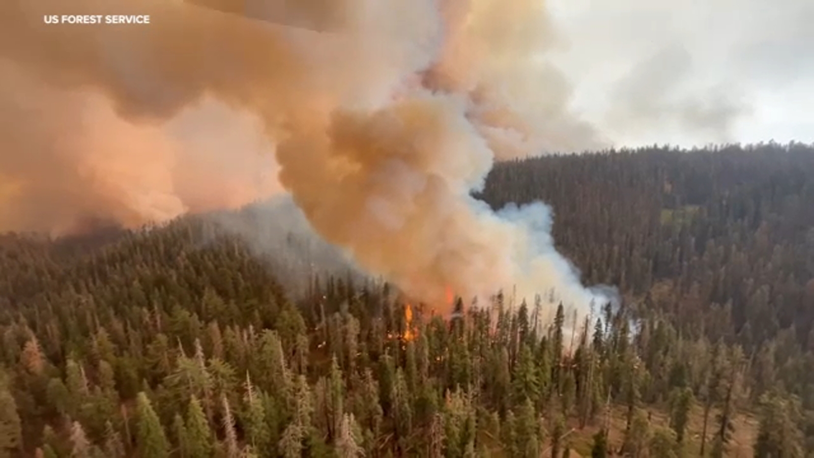 Garnet Fire grows in size over the weekend, crews battle blaze threatening Sequoias
