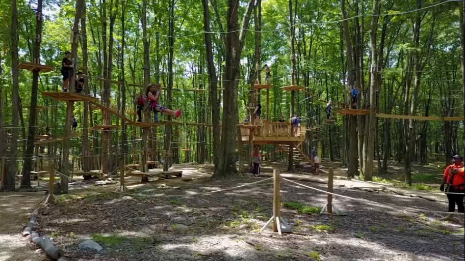 Kalahari Resorts Gorilla Grove offers treetop adventures