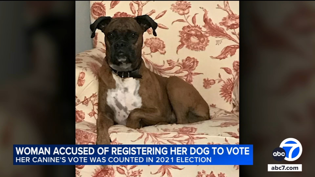 Lawyers speak out for OC woman accused of registering dog to vote