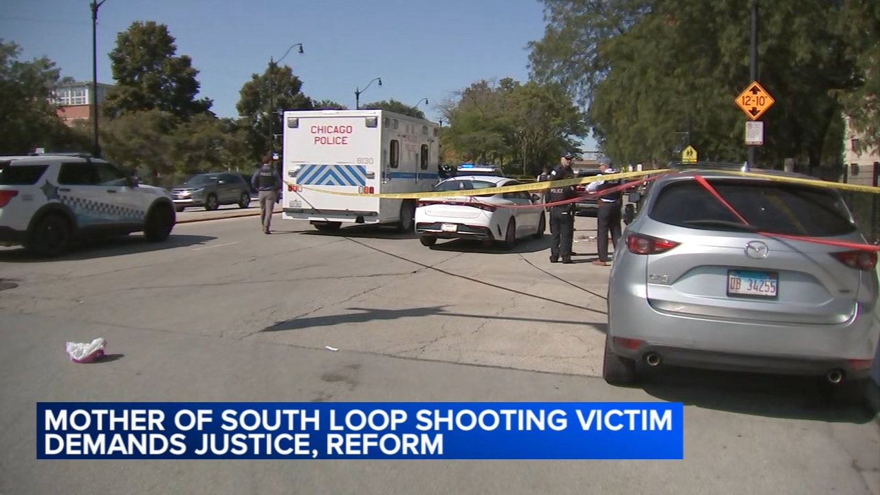 Grieving mother speaks out after woman shot, killed in South Loop