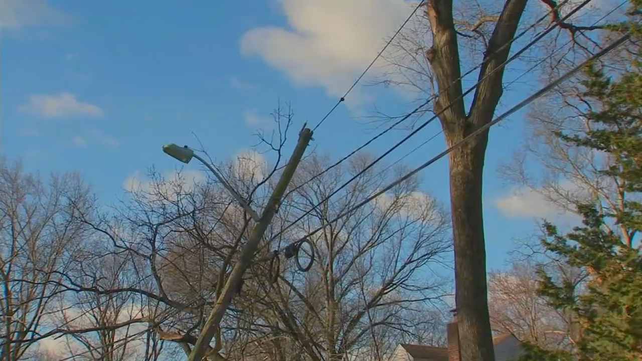 Strong winds cause downed trees, power outages