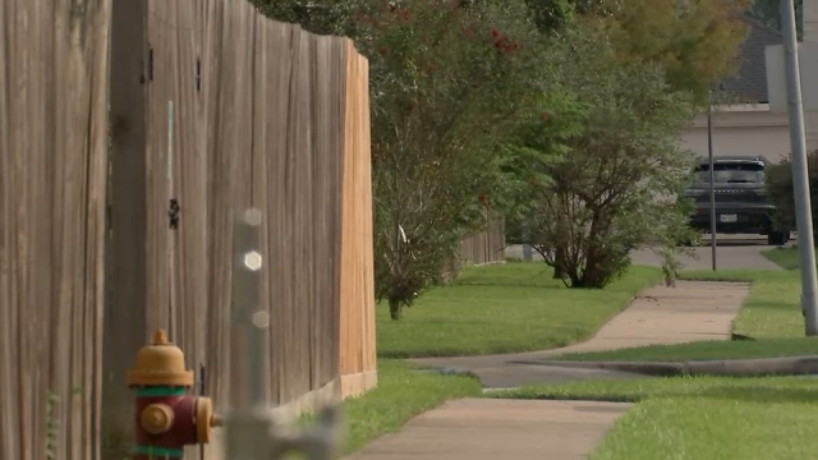 Burglary suspect in custody after masked break-in at Deer Park business, police say