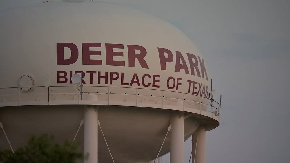 Burglary suspect in custody after masked break-in at Deer Park business, police say