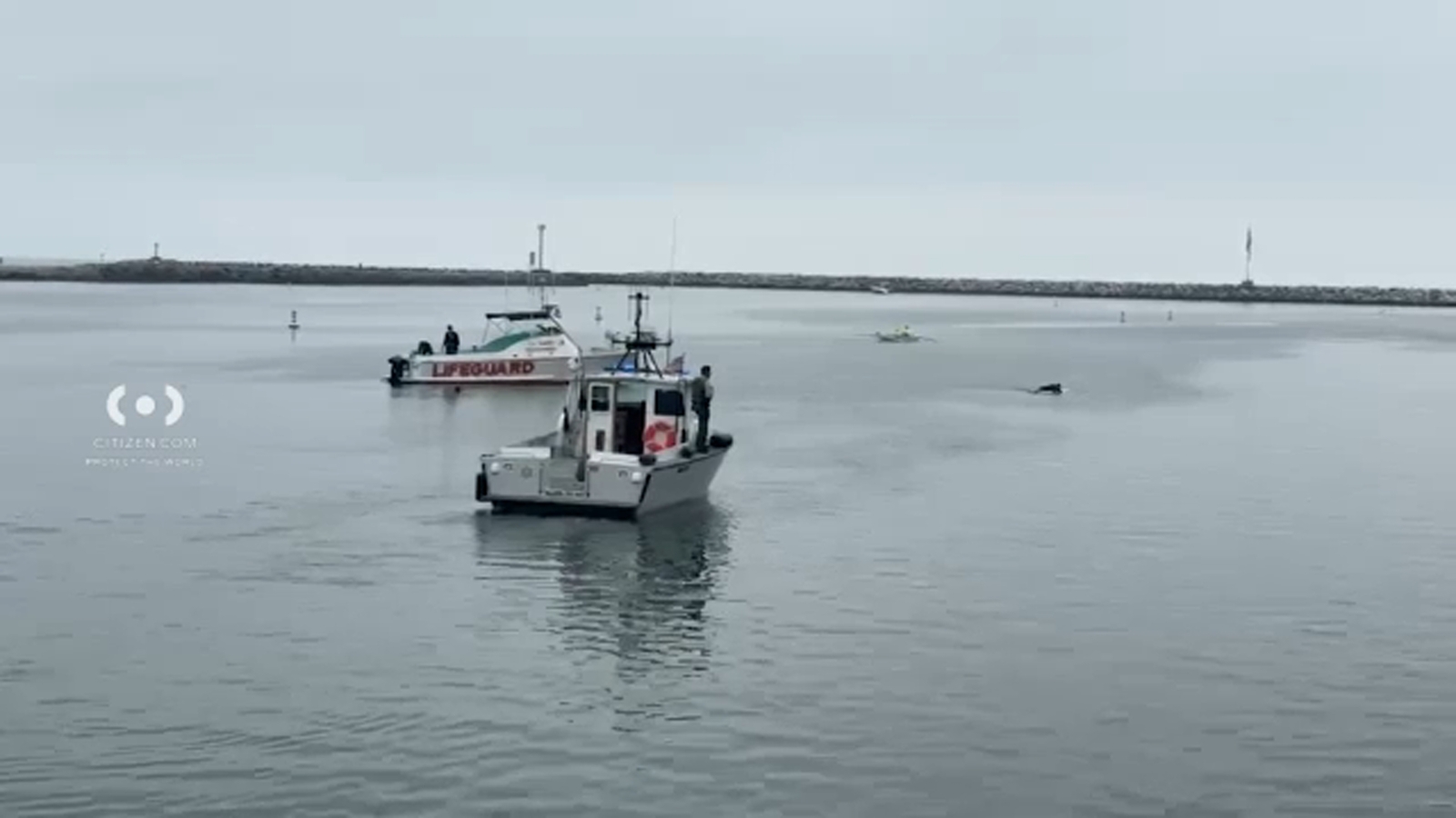 What Happened in the Tragic Drowning Incident Near Marina del Rey Harbor?