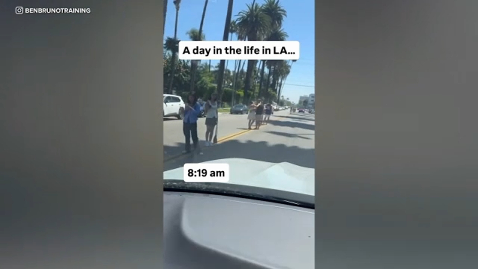 Viral palm tree photo trend stirs up controversy in Beverly Hills ...