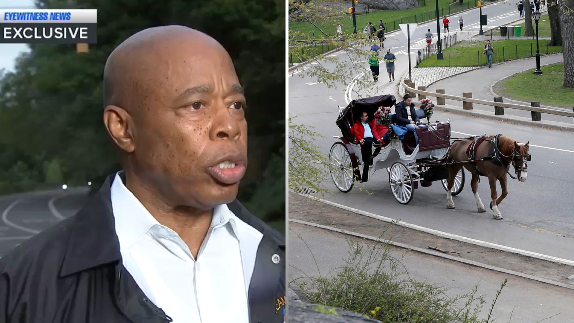 Mayor Eric Adams calls for ban on horse carriages in NYC