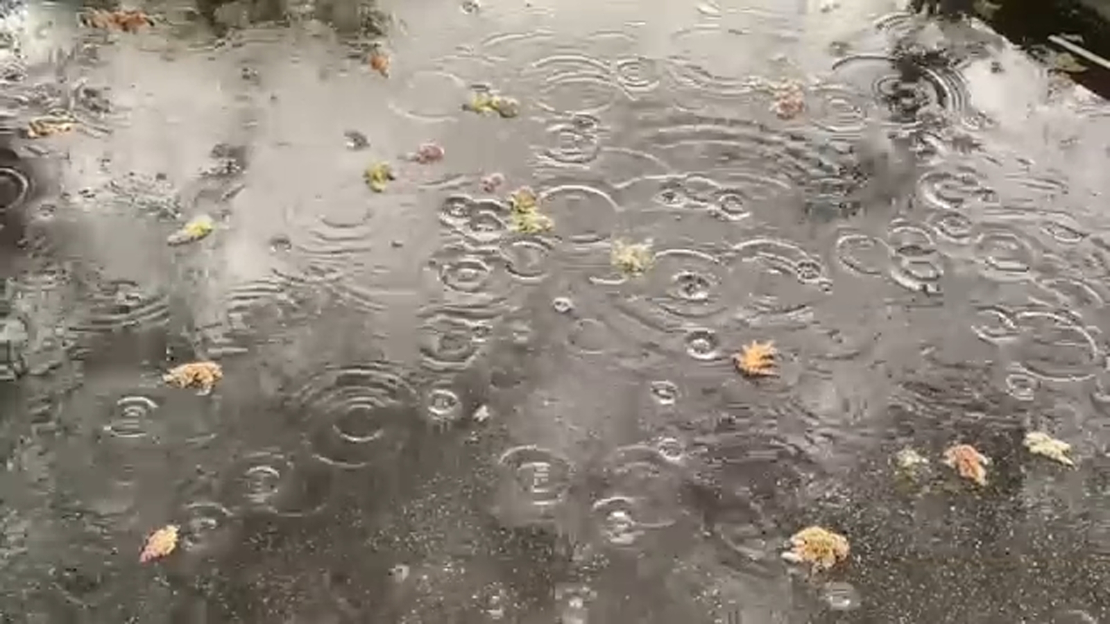 Rain and potential thunderstorms set to move in to the Valley