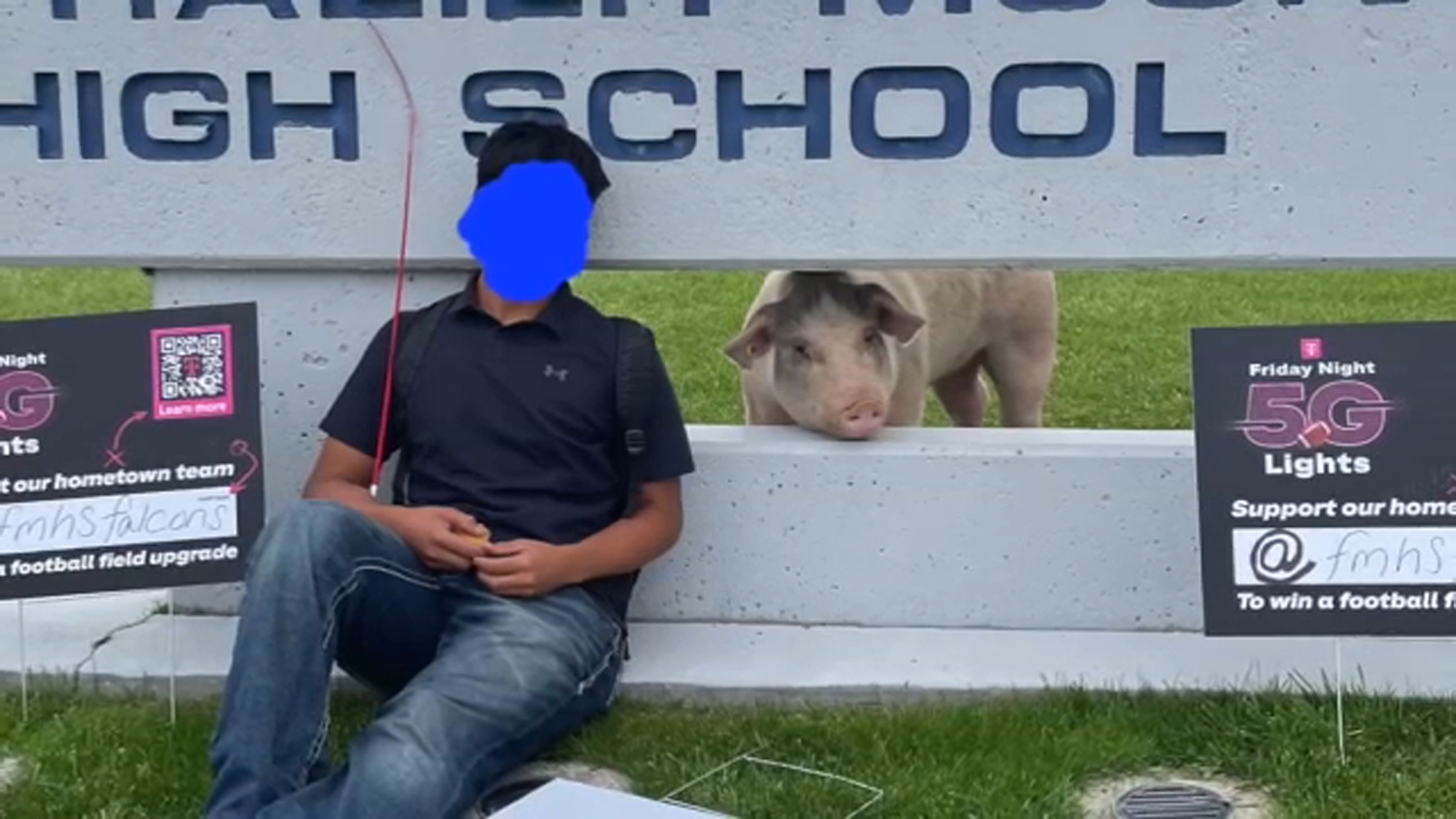 Pig stabbed to death ahead of Kern County Fair, suspect wanted