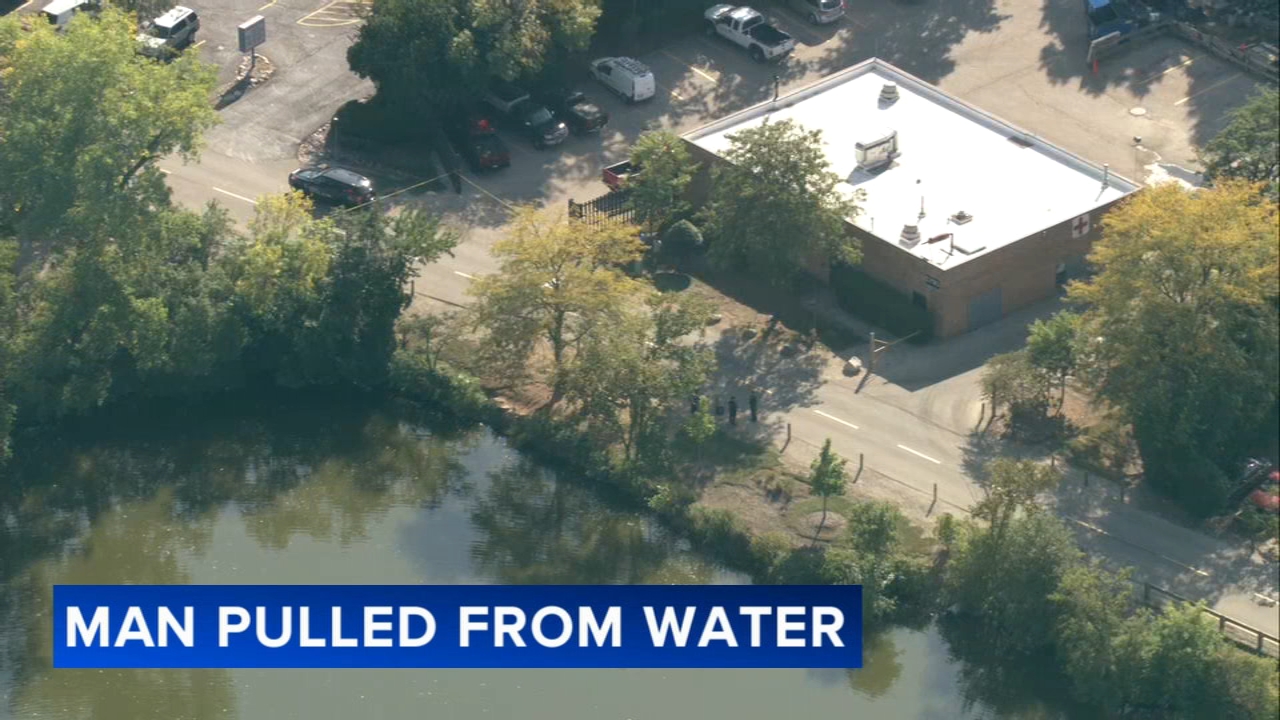 Man critically injured after being pulled from pond in Lisle