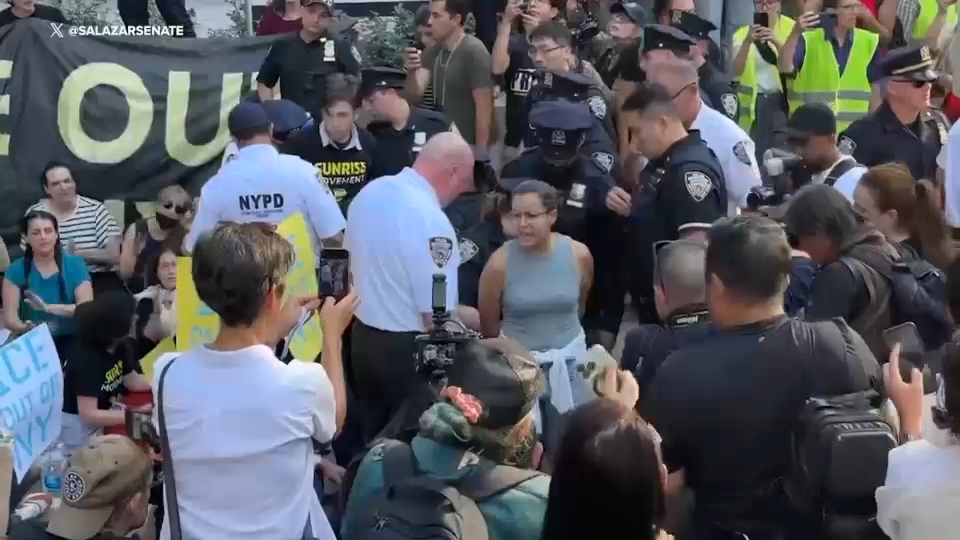 Dozens arrested, including NYC officials, at immigration protest in NYC