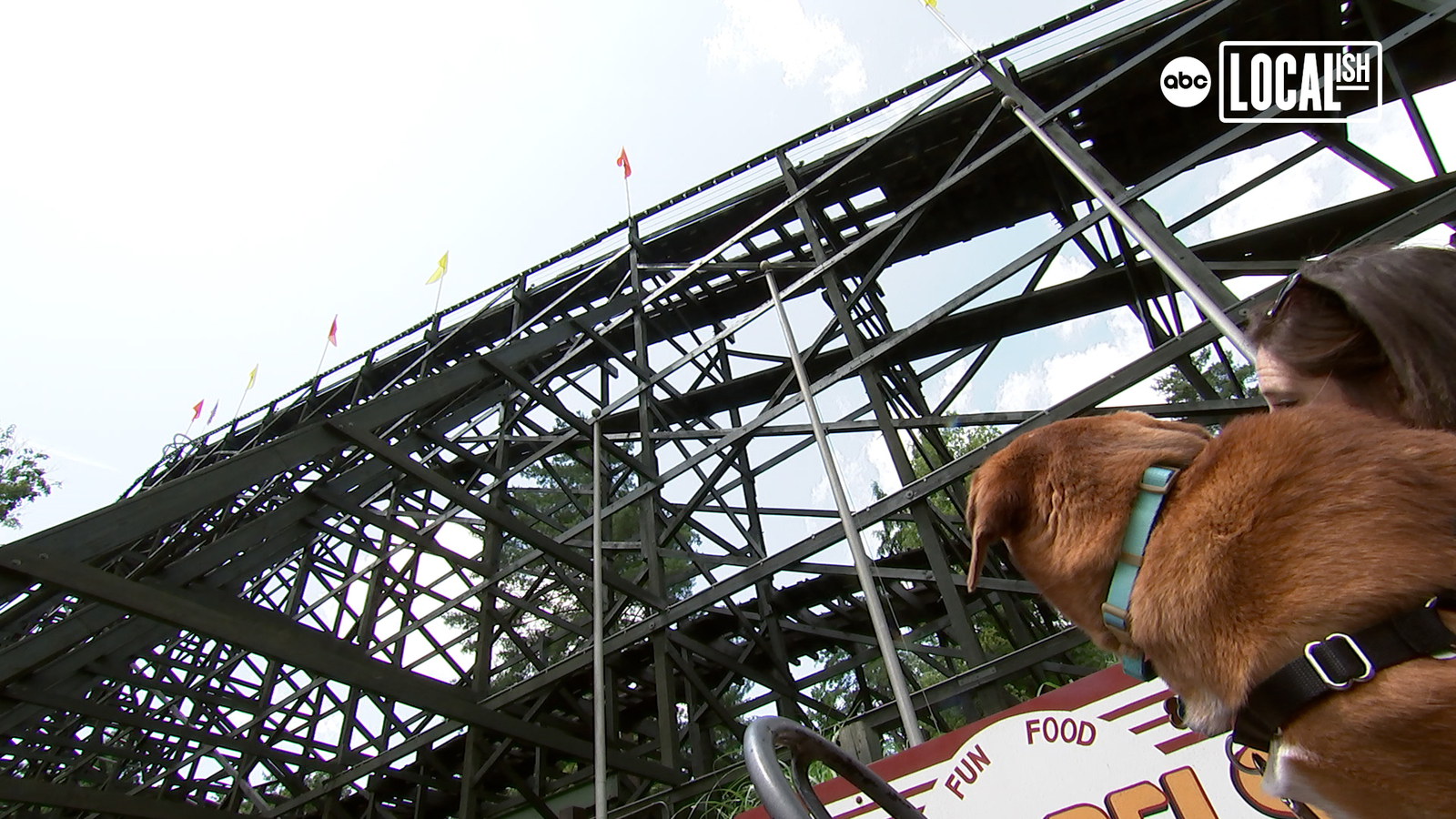 A tour of Knoebels Amusement Resort from a dog's POV