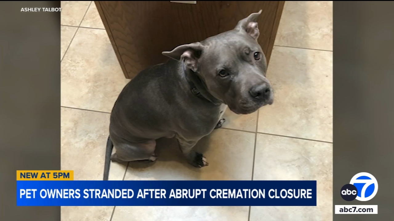 IE woman seeks answers after pet cremation company closes