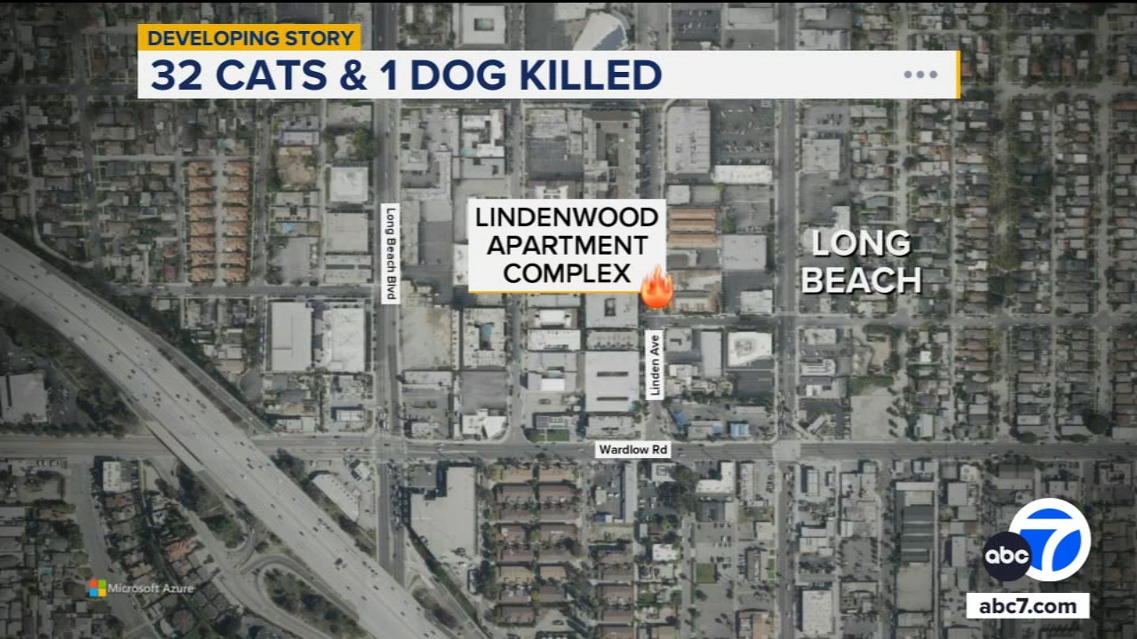 32 cats and a dog killed in Long Beach apartment fire