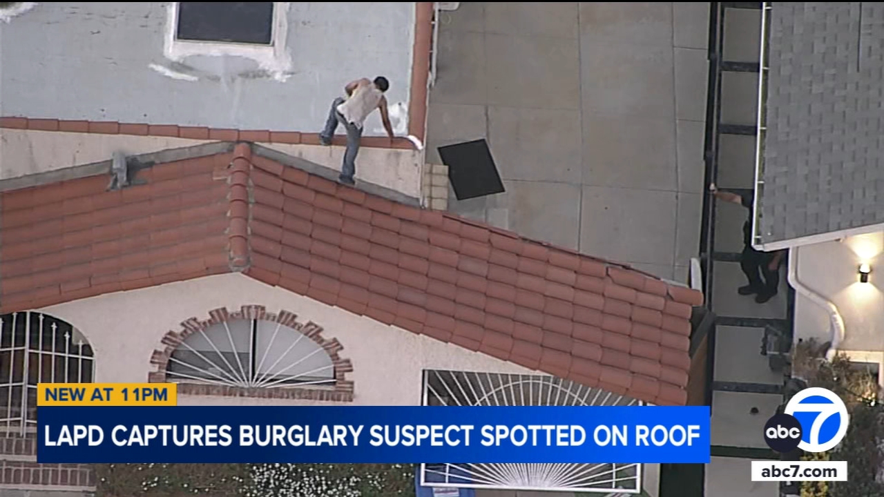 LAPD captures burglary suspect spotted on rooftop in Studio City