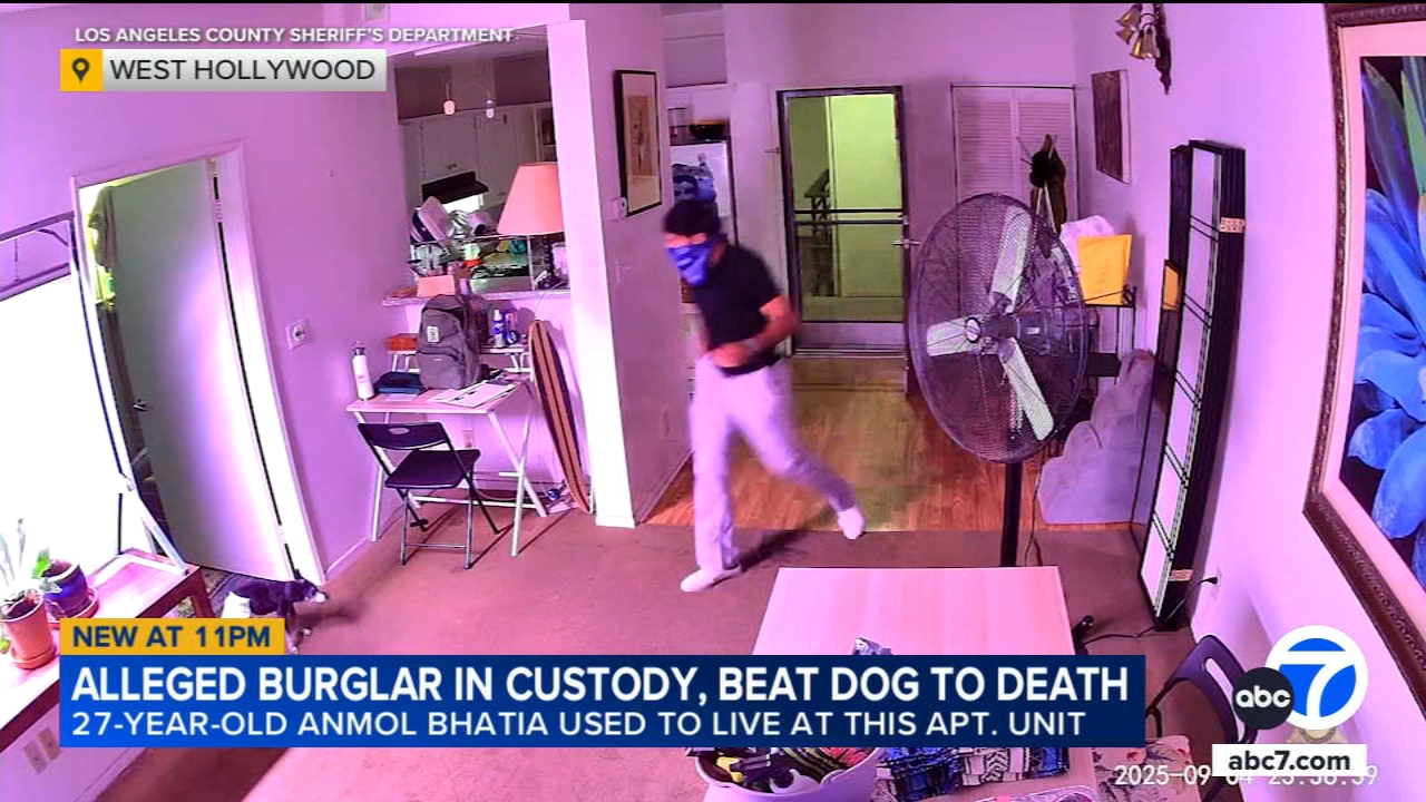 Man accused of beating dog to death at WeHo apartment