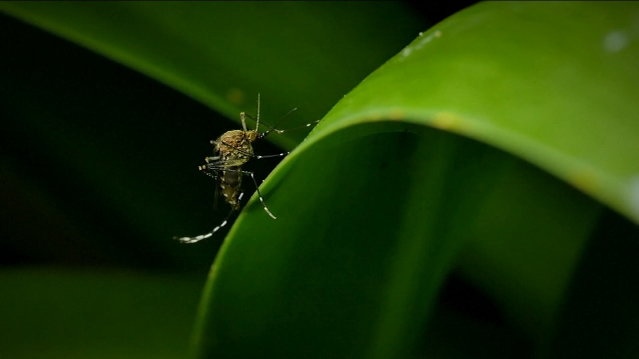 Fresno County health officials confirm 1st human West Nile Virus death of 2025