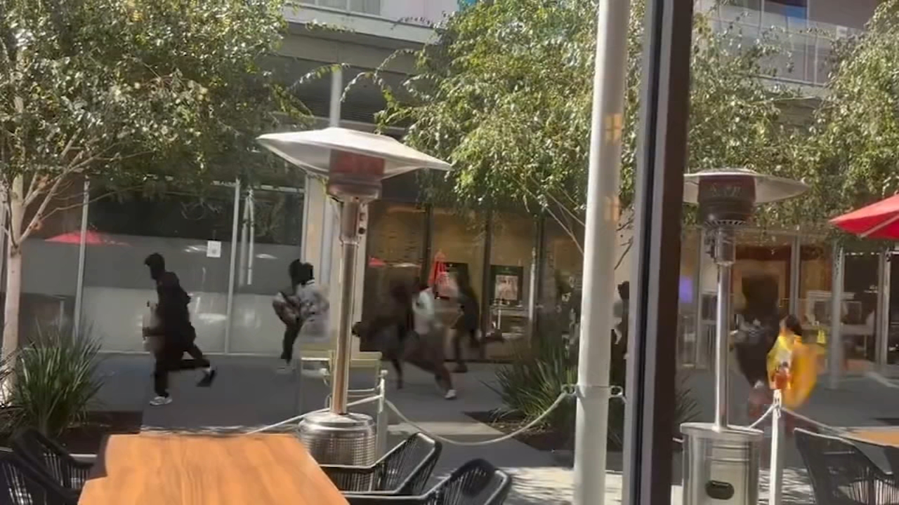 Dozens of robbery suspects fire shots, ransack San Ramon jewelry store