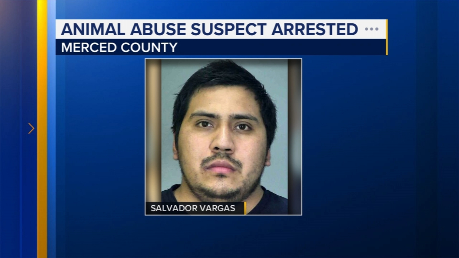 Man arrested for abusing cow at Los Banos dairy, authorities say