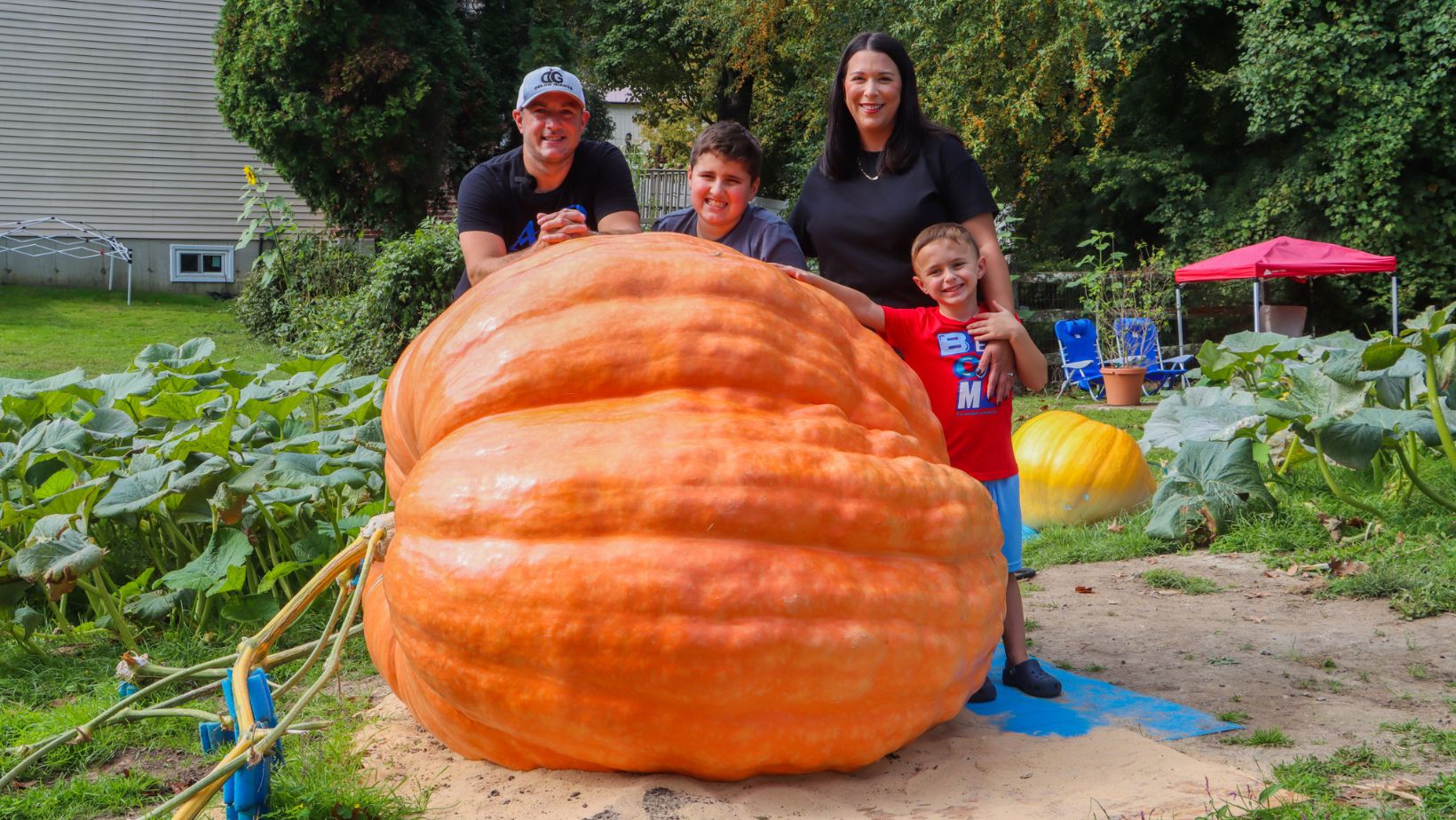 Broomall family has grown a giant pumpkin right in their own