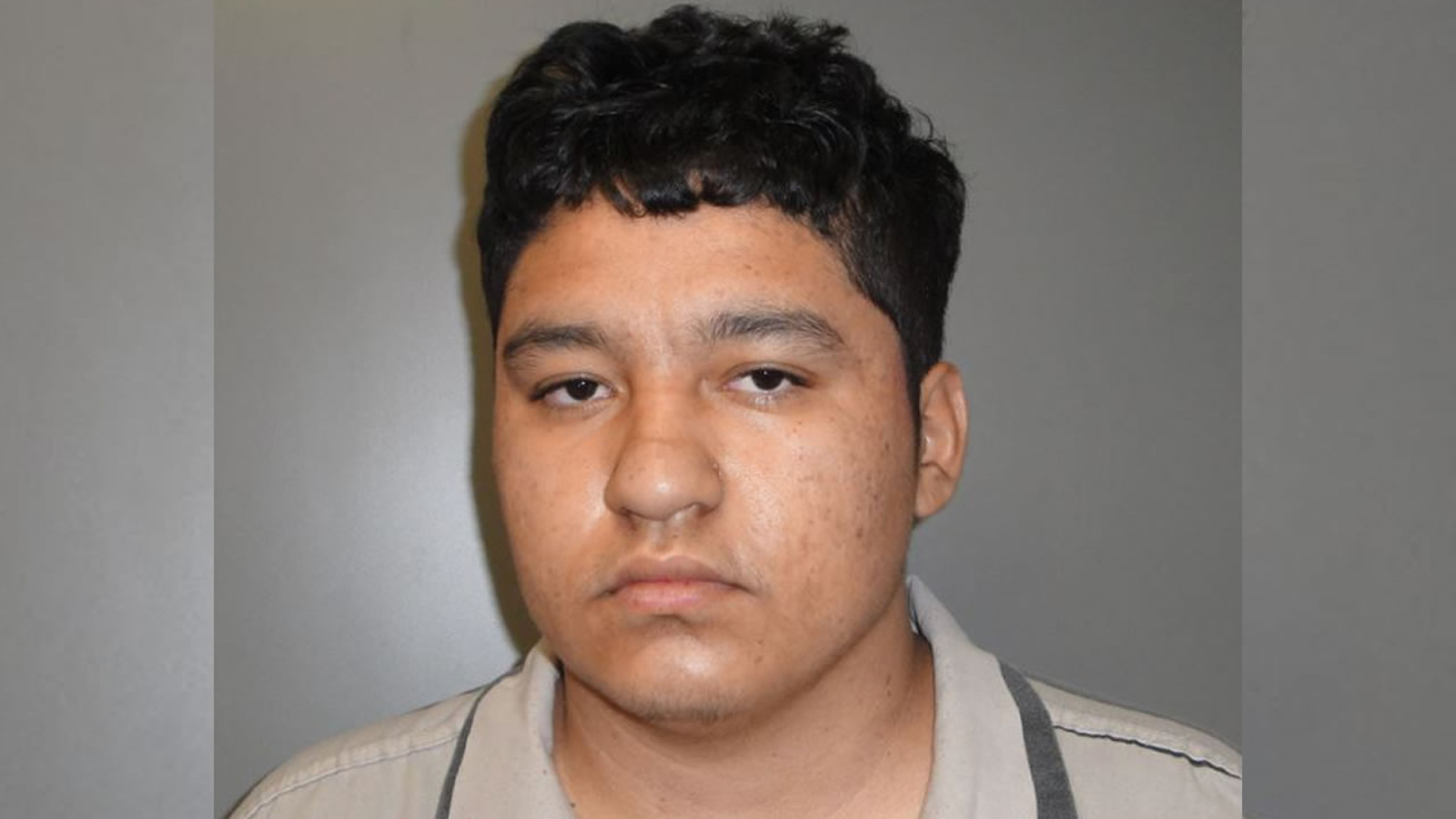 Teen charged with murder after decapitating mother, police say - ABC7 ...