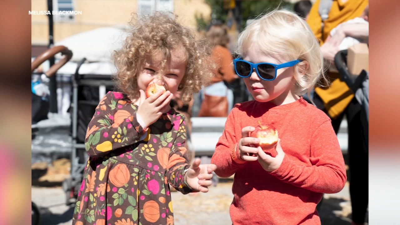 38th annual Apple Fest returns to Northwest Side with expanded dates