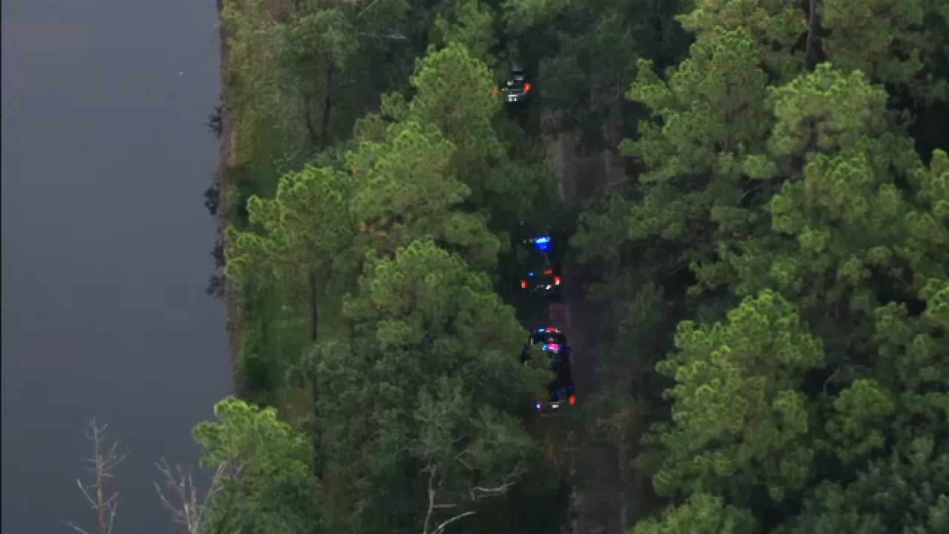 Mother and 3 children hospitalized after near drowning incident on Liberty County estate