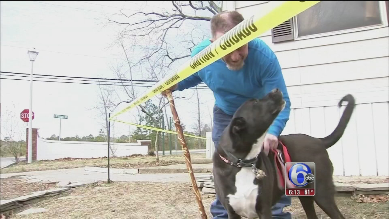 Rescue dog repays owner by saving him from mobile home fire 
