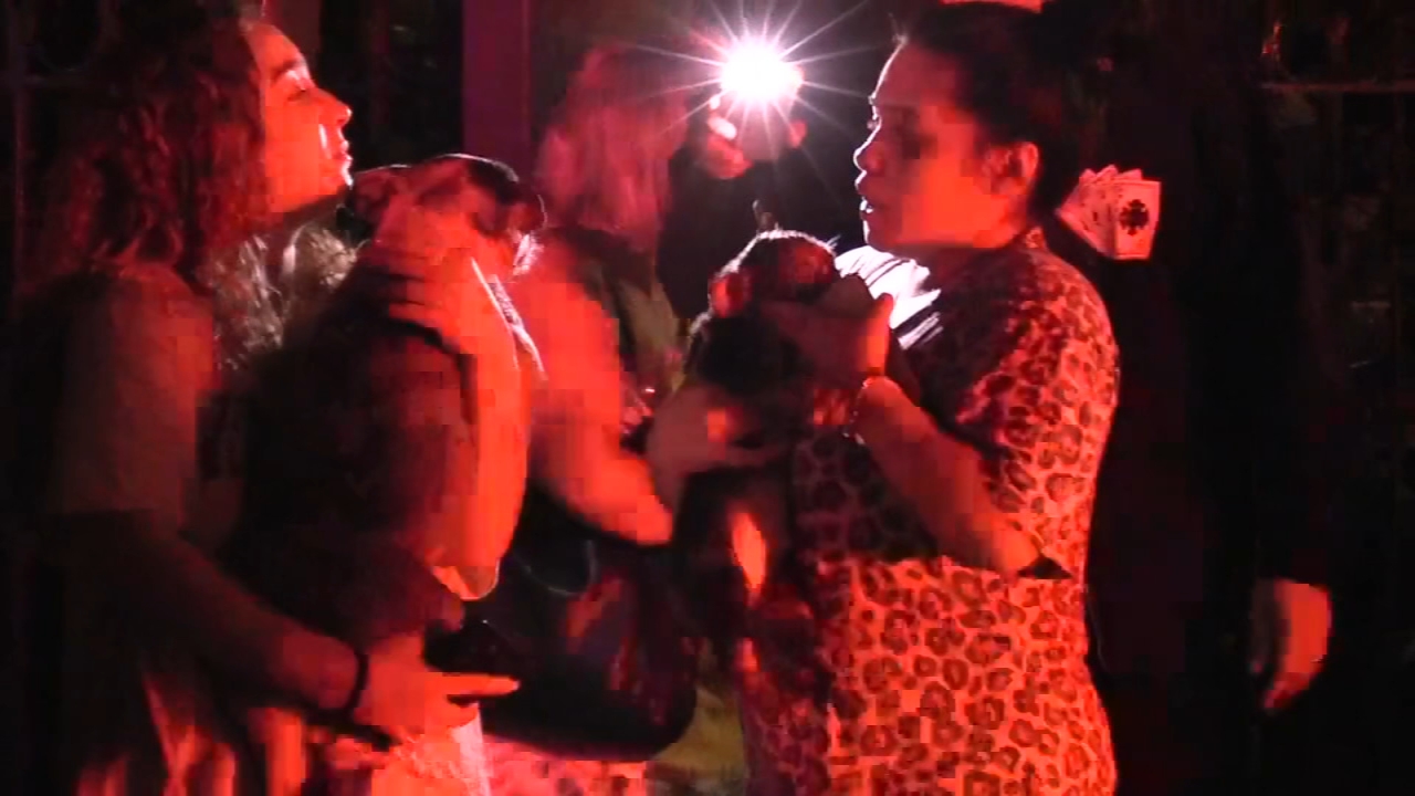 Dogs rescued from building fire in Humbold Park