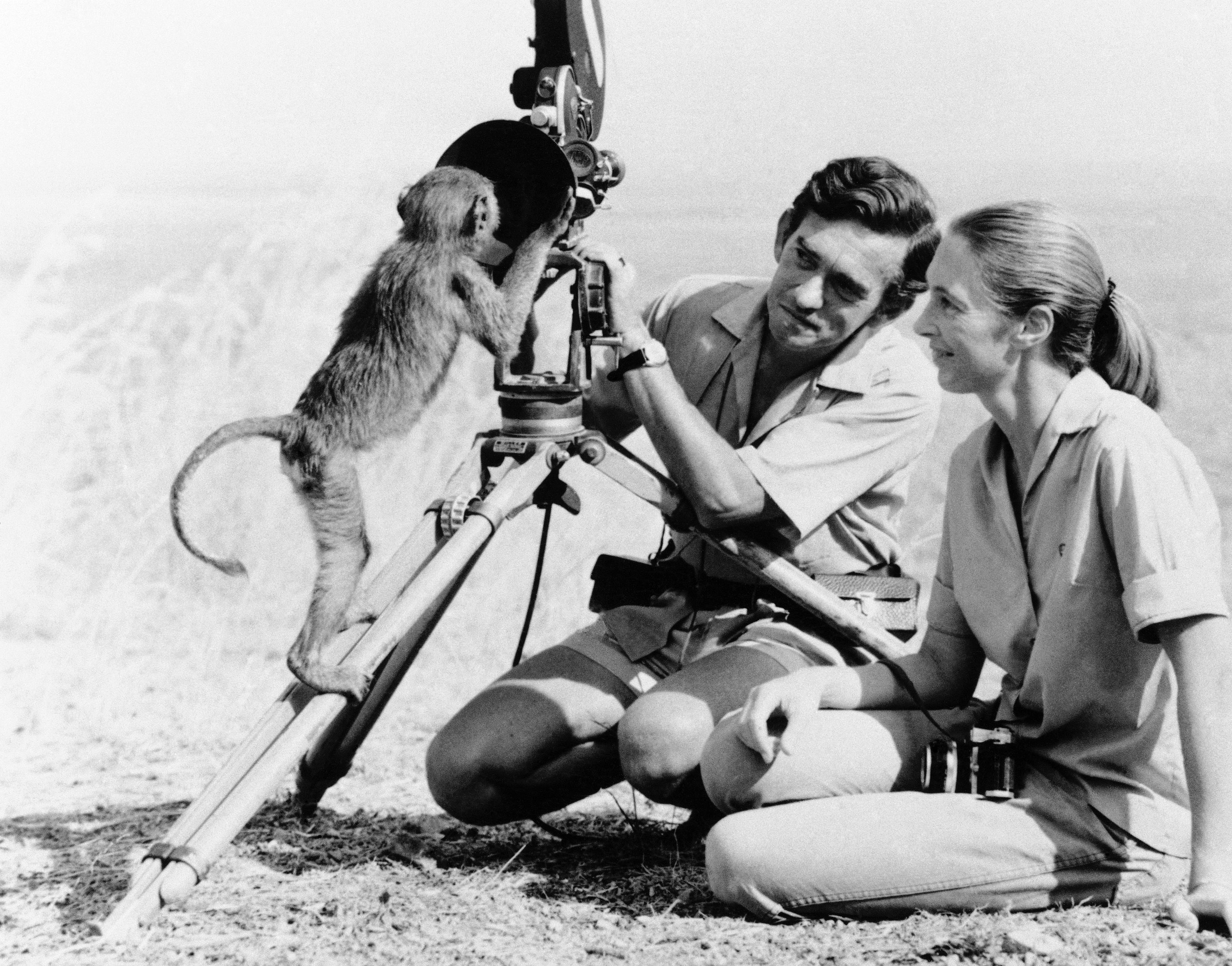 Anthropologist Jane Goodall, right with husband Hugo van lawick behind camera, January 1974.