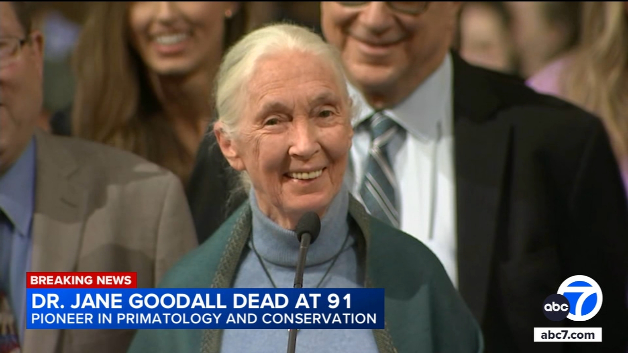 Jane Goodall, famed primatologist, anthropologist and conservationist, dead  at 91 - ABC7 New York